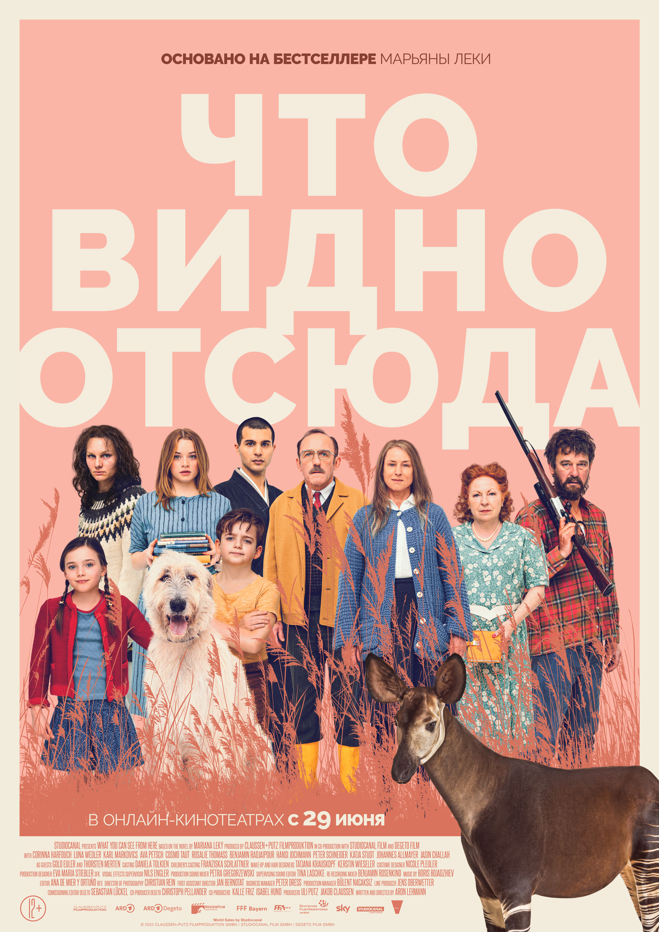 отсюда видишь